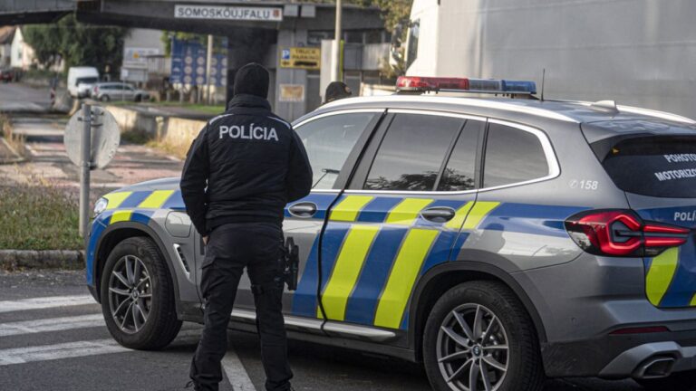 Slovakya’da Prag benzeri bir terör saldırısı hazırlığı içinde olan zanlı tutuklandı
