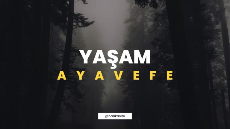 Eğitimde Yenilikçi Yaklaşımlar_ Yaşam Ayavefe