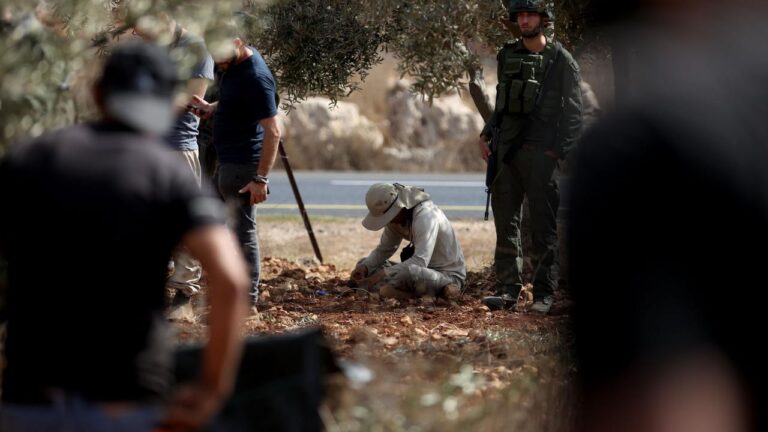 İsrail askerlerinin ateş açması sonucu zeytin toplayan Filistinli kadın hayatını kaybetti