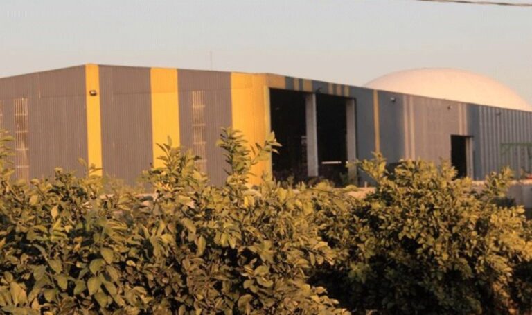 Atık Ayırma Merkezinde Korkunç Etkinlik: Body Bulundu – Torrkiye Laggio News