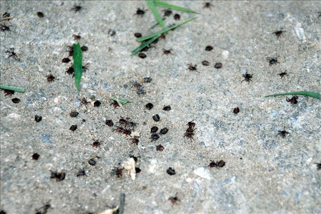 thumbs_b_c_1654b9f570cfd4923a0f4c396fffdda0